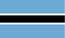 team flag