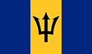 team flag