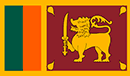 team flag