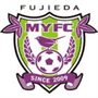 team-logo