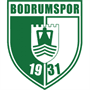 team-logo