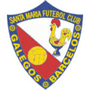 team-logo