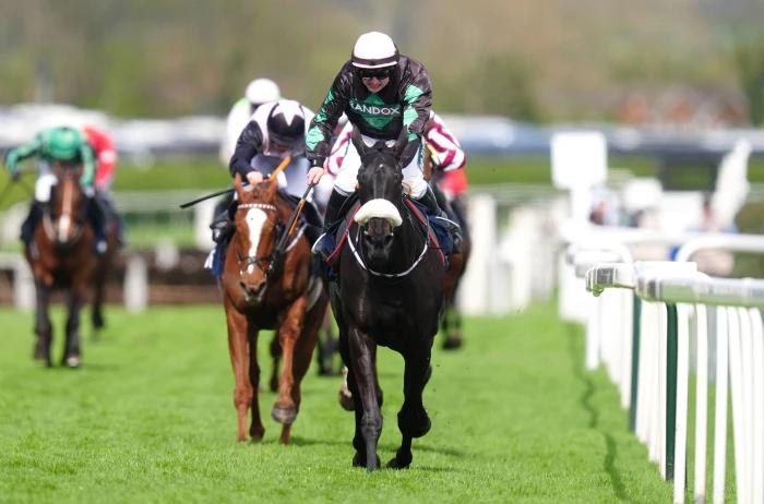 Strong Leader ridden by Sean Bowen