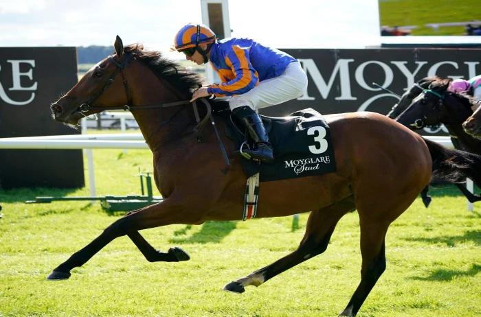 Lake Victoria ridden by Wayne Lordan wins the Moyglare Stud Stakes at the Curragh