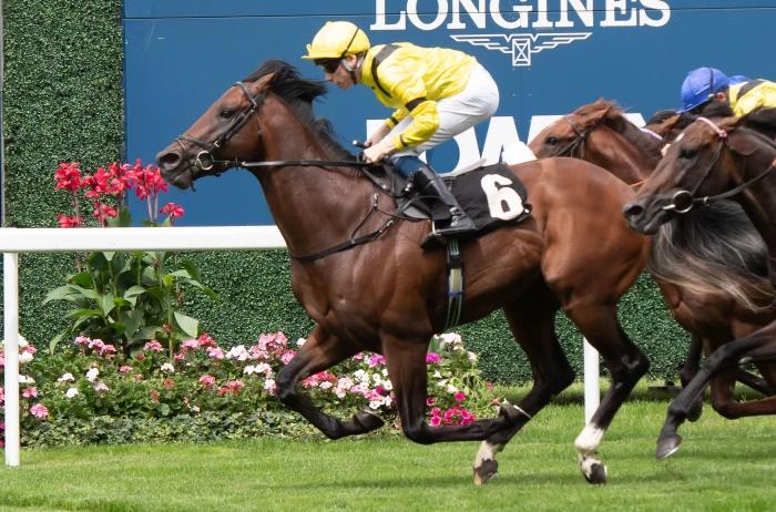 Quddwah ridden by jockey Callum Shepherd wins the Anne Cowley Memorial Summer Miles Stakes at Ascot