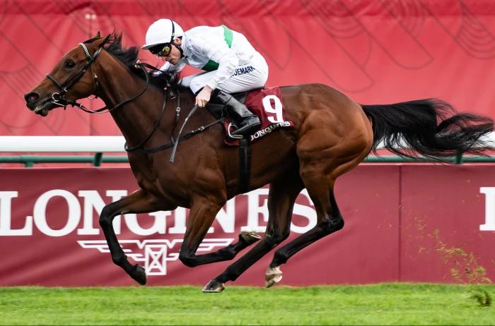 Kieran Shoemark and Friendly Soul winning the Prix de l'Opera