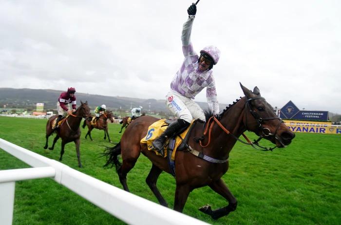 Golden Ace at Cheltenham