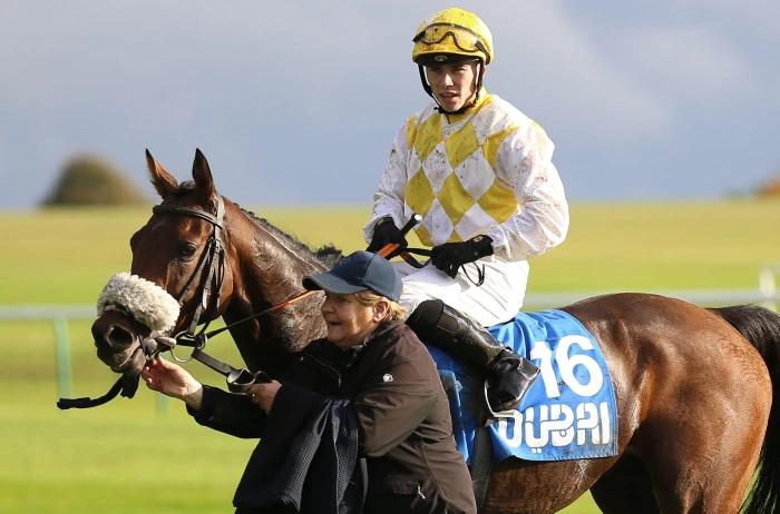 Alphonse Le Grande ridden by Jamie Powell