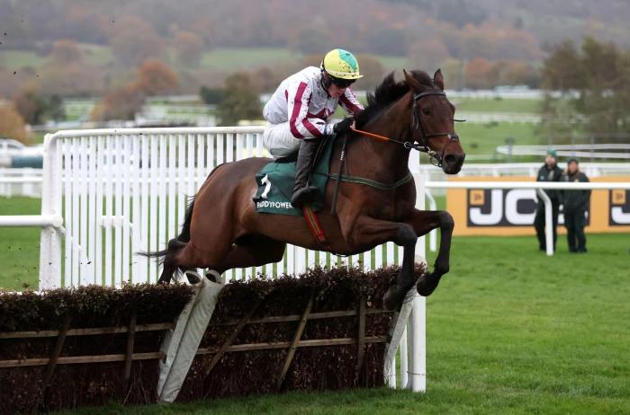 Paul Gilligan's Buddy One winning at Cheltenham in November 2023