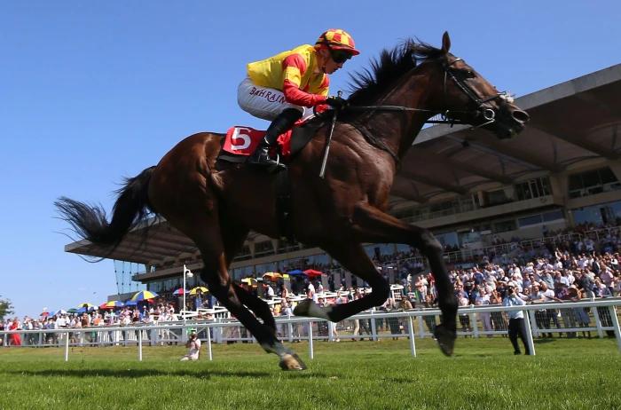 savvy victory and tom marquand at Sandown