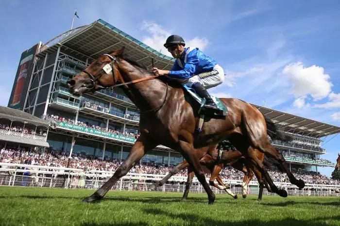 Anmaat ridden by Kevin Stott - March 2023