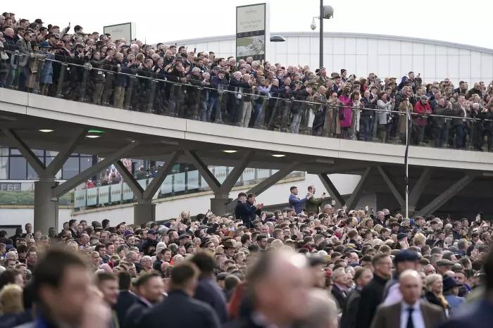 Cheltenham Crowd