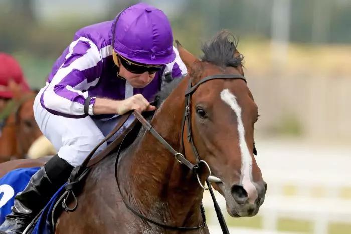 Royal Ascot Hardwicke Stakes tips: Continuous to edge out Middle Earth, Isle Of Jura in the mix