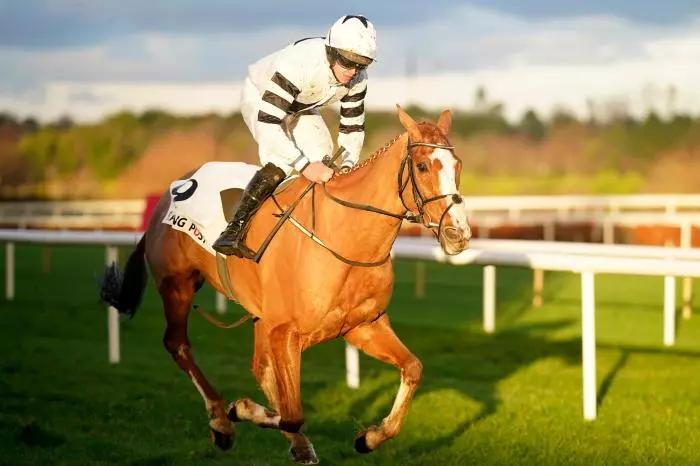 Grange Walk ridden by Shane Fitzgerald