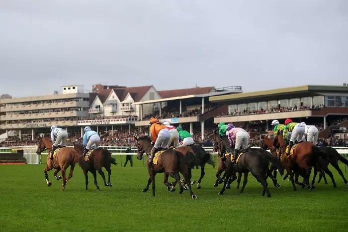 Jumpers in action at Haydock Park