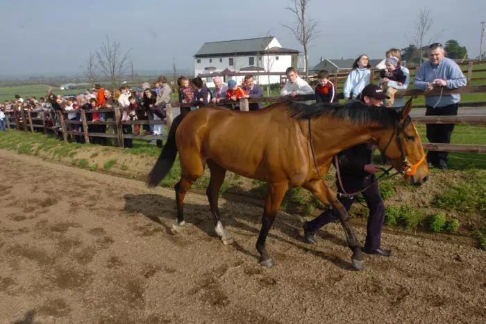 Kicking King - Portree stables