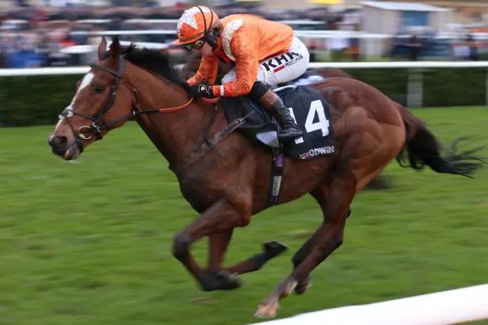 Metier ridden by Saffie Osborne