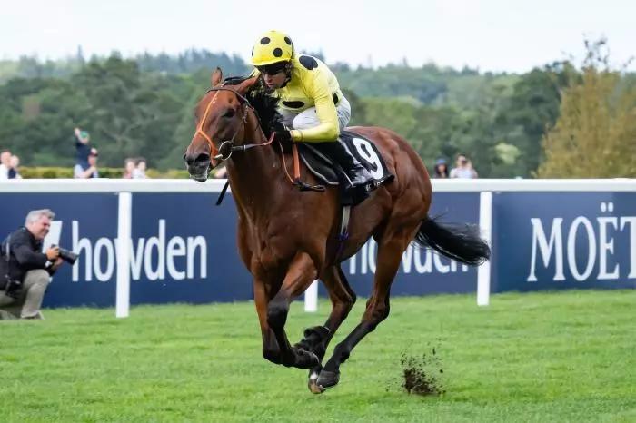 Rosallion and Sean Levey at Ascot