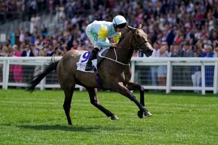 Sacred Angel ridden by jockey Jason Hart 