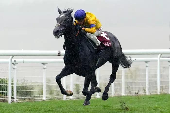 Sumo Sam ridden by jockey Tom Marquand