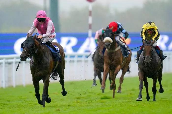 Sweet William ridden by jockey Robert Havlin