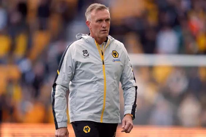 Wolverhampton Wanderers caretaker manager Steve Davis