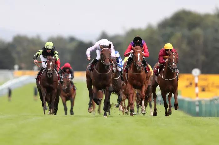 Pleasant Man (centre) on his to victory on the Flat at Haydock