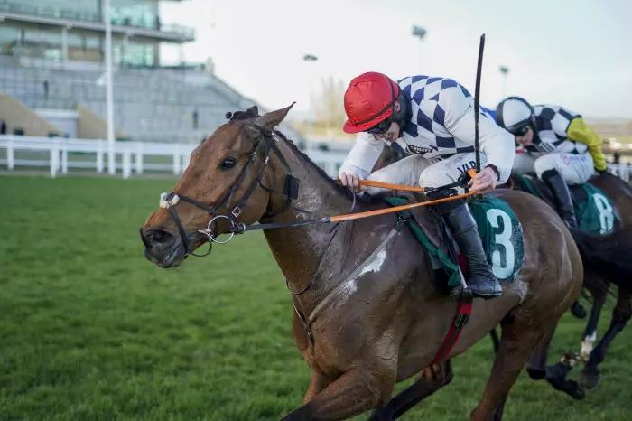 Scottish National remains an option for Festival hero Galvin