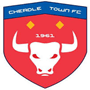 team-logo