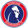 team-logo