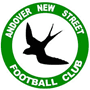 team-logo