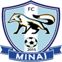 FC Minaj