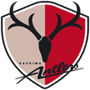 Kashima Antlers