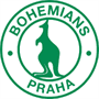 team-logo