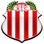 team-logo