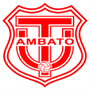 team-logo