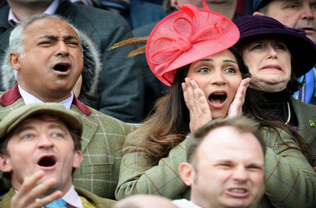 Cheltenham racegoers shocked