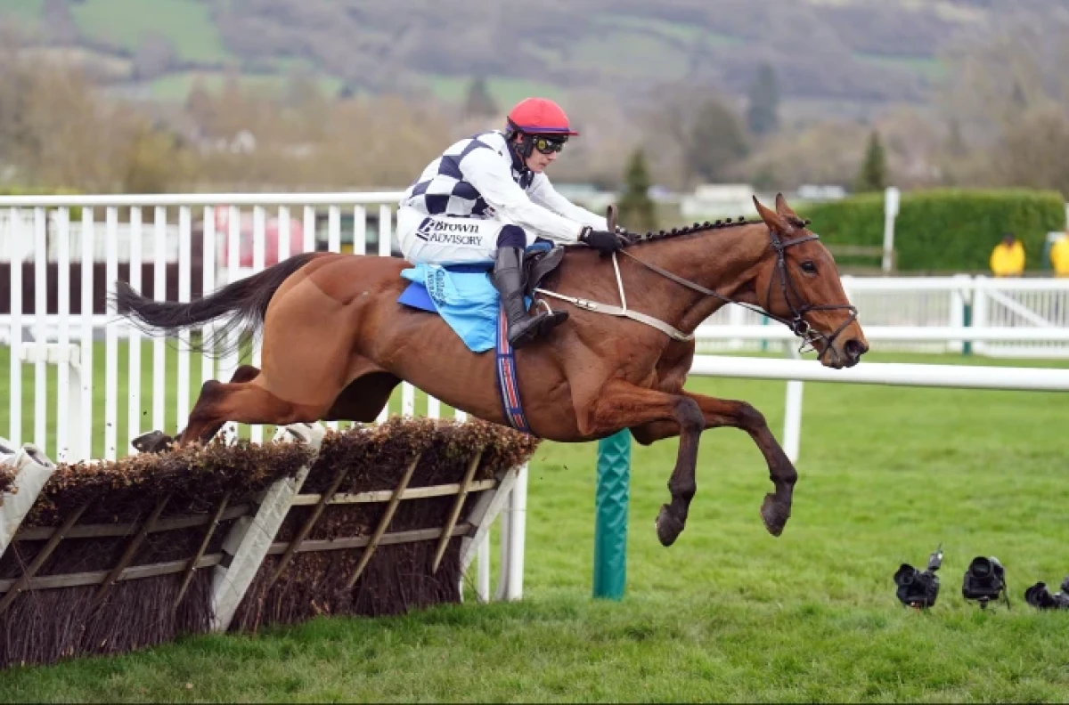 Paul Townend rides Ballyburn to victory at Cheltenham