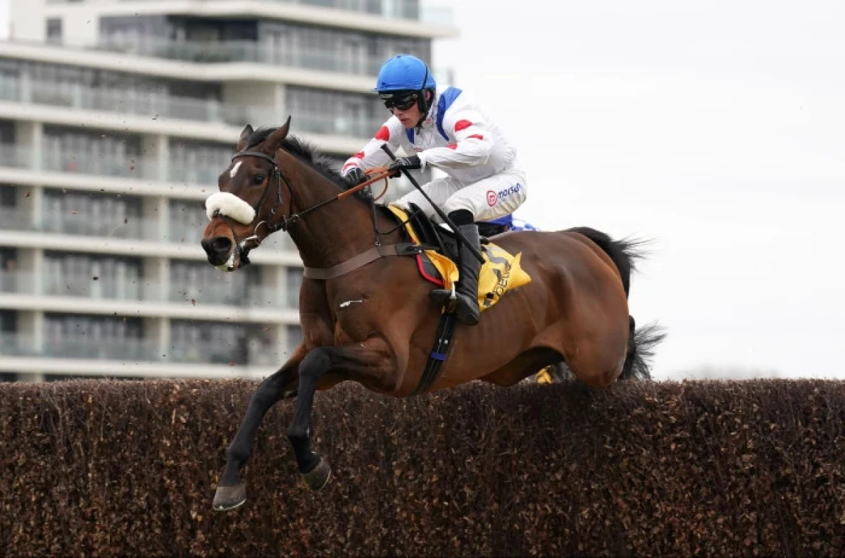 Hitman ridden by Harry Cobden at Newbury