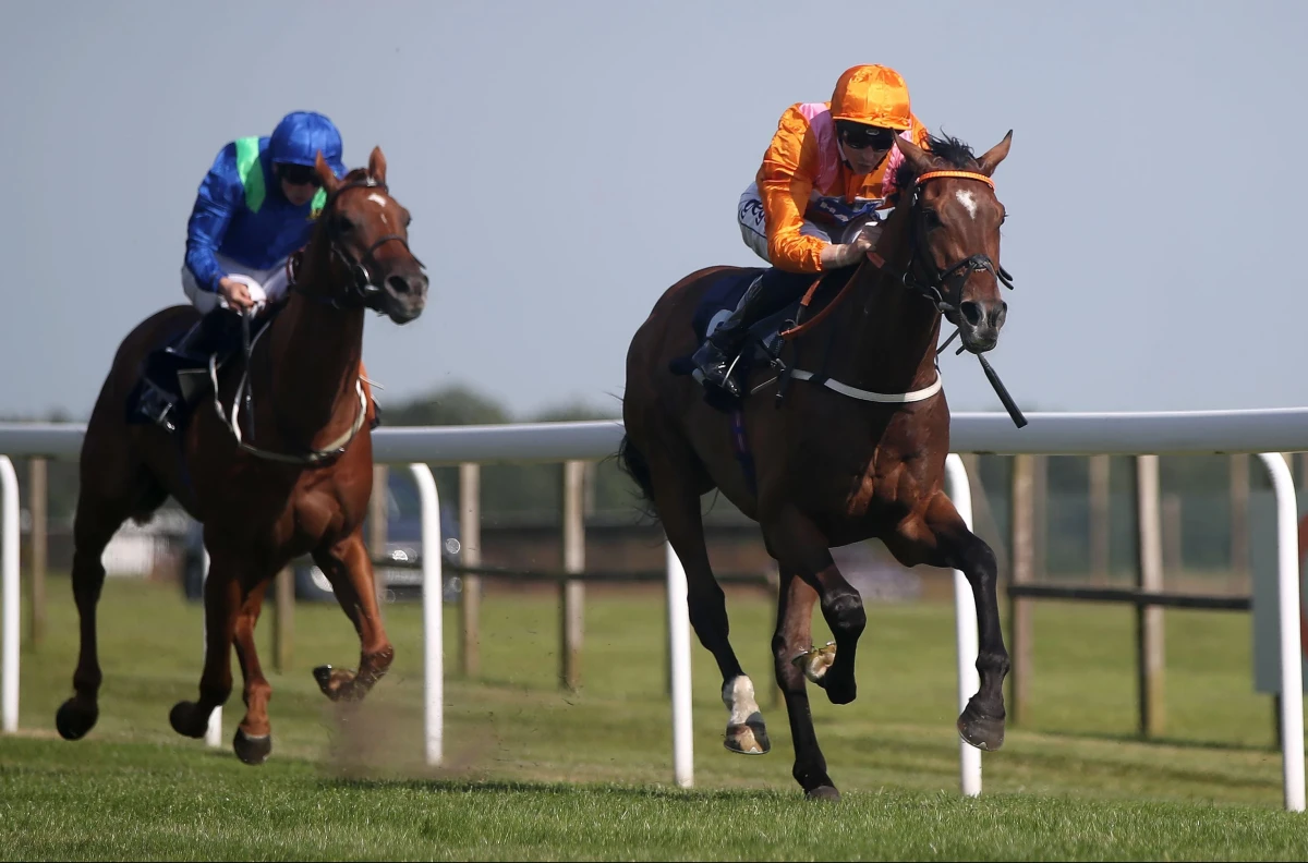 Bath racecourse June 2022