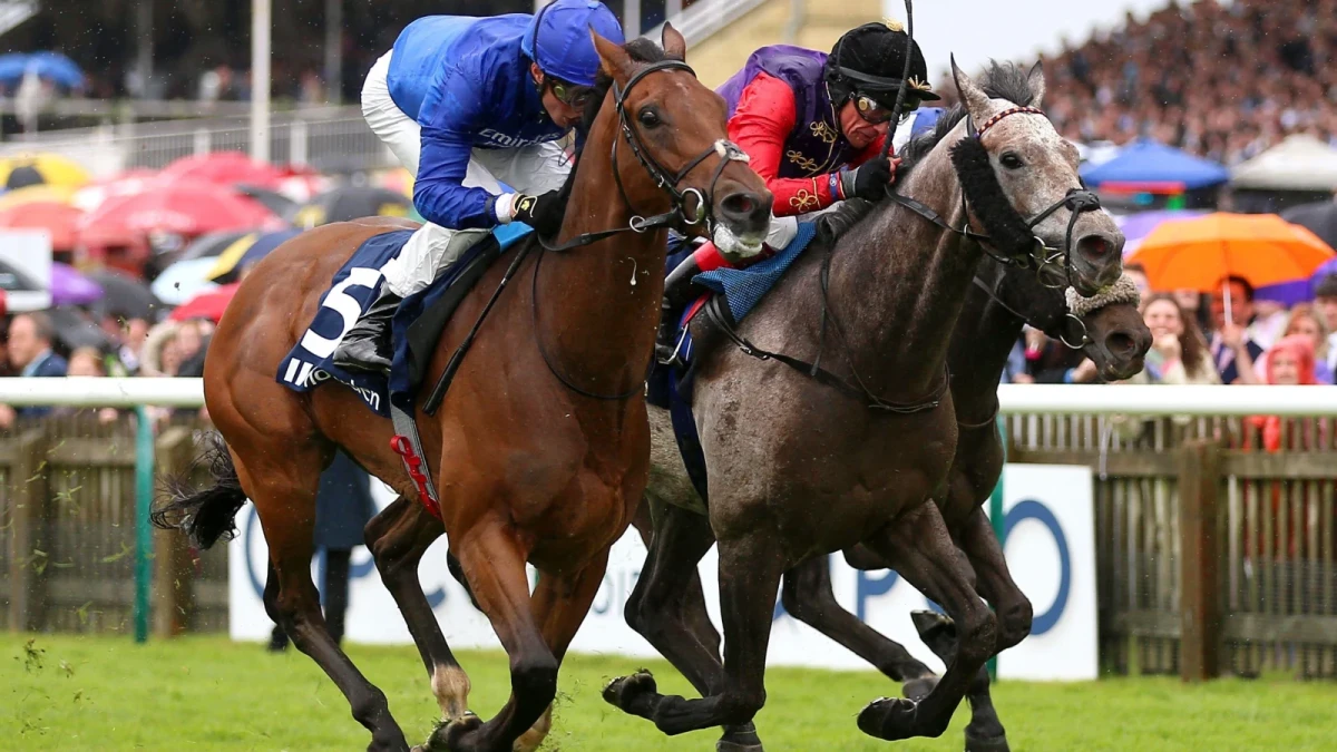 William Buick on King Of Conquest