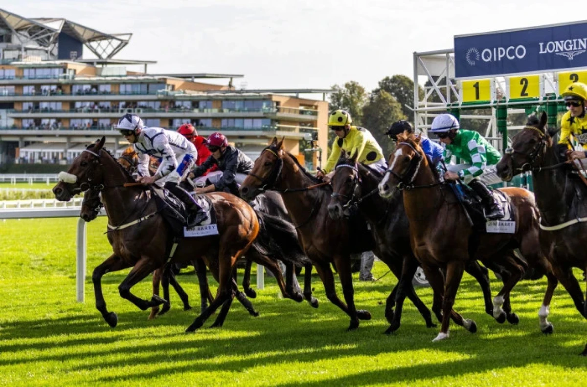 Al Qareem ridden by jockey Clifford Lee at Ascot