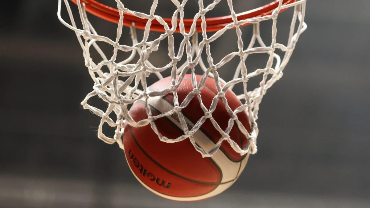 Basketball net and ball