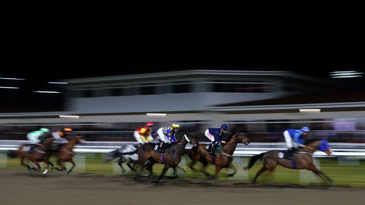 Chelmsford racecourse