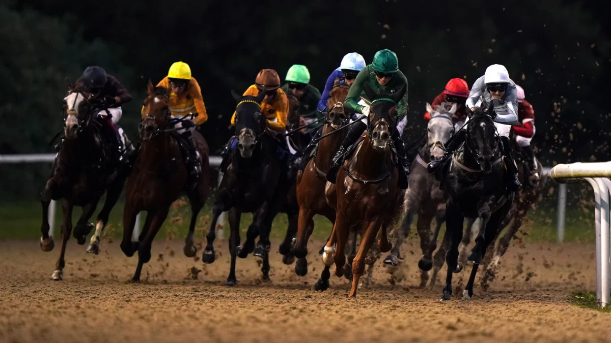 Runners and riders at Wolverhampton racecourse