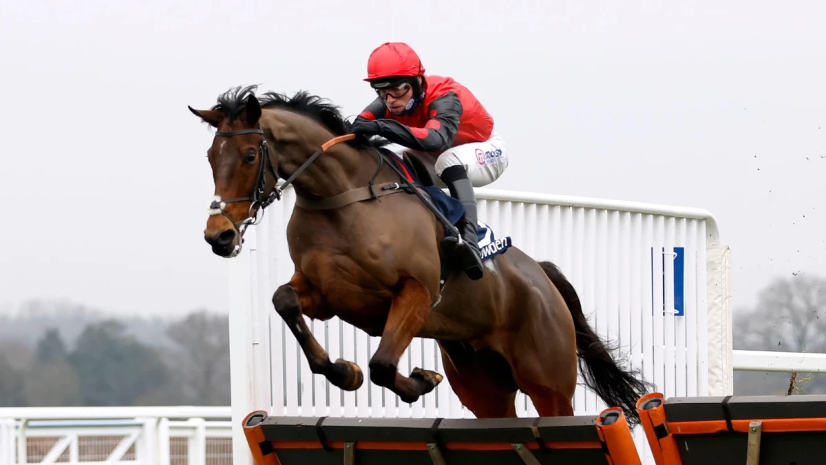 Complete Unknown ridden by jockey Harry Cobden