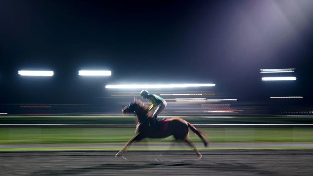 Kempton park racecourse