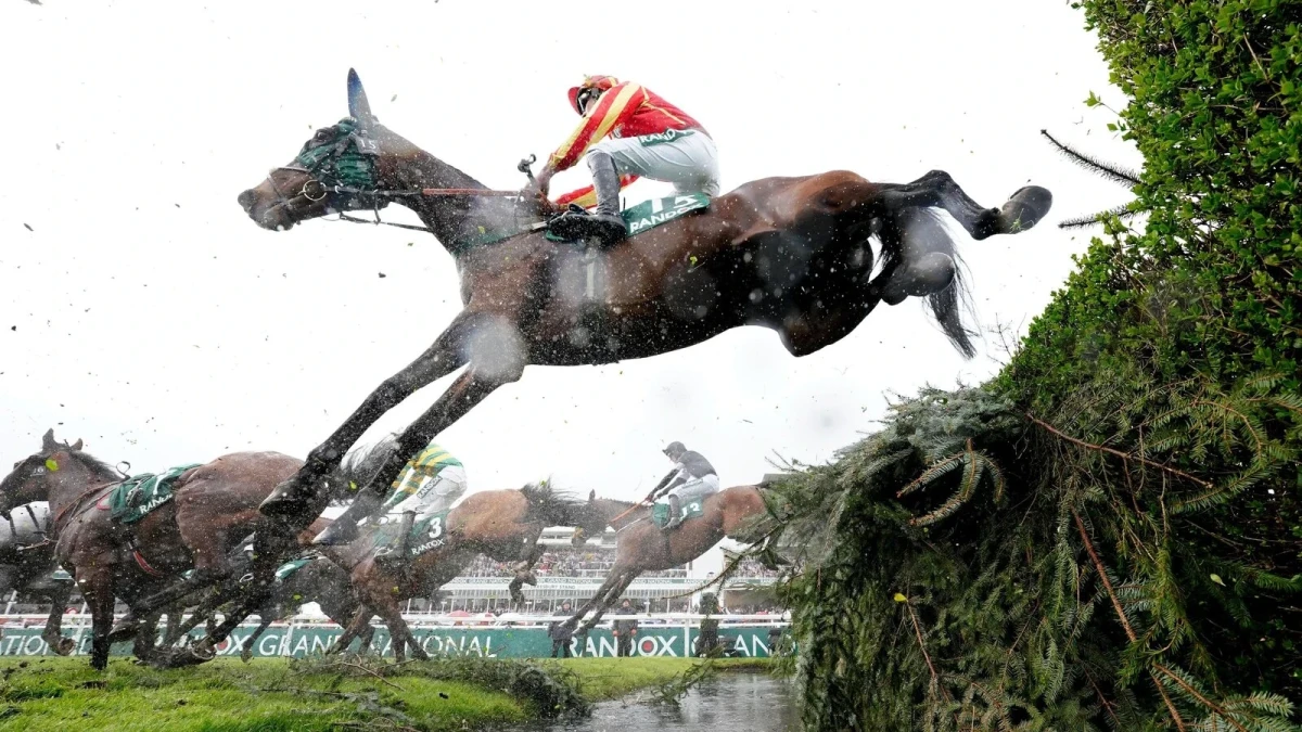 Top Ville Ben ridden by Thomas Dawson at Aintree