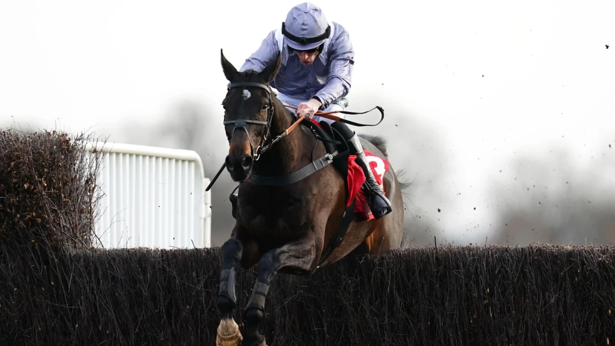 Il Est Francais ridden by James Reveley goes on to win The Ladbrokes Kauto Star Novices' Chase
