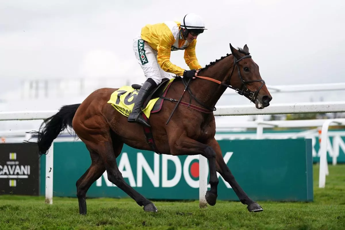 Apple Away ridden by Stephen Mulqueen